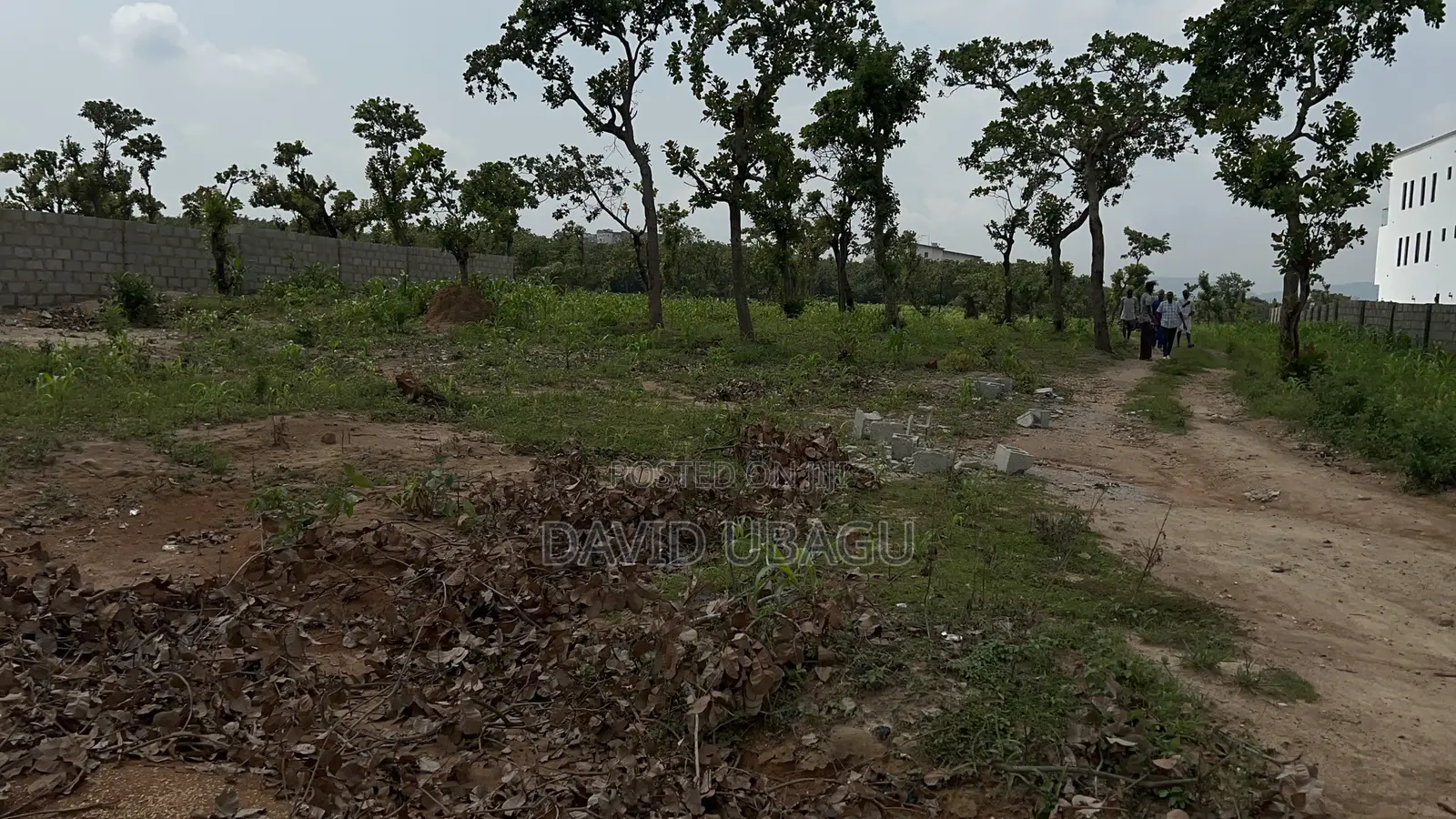 Residence Plot in Dape