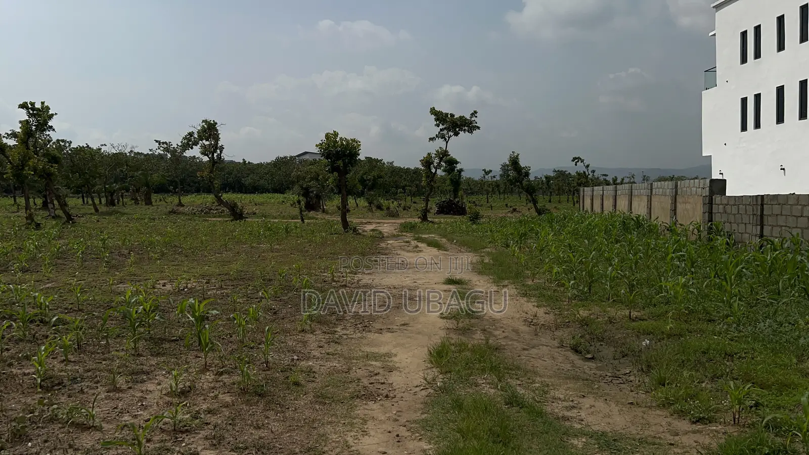  Residential Plot in Dape