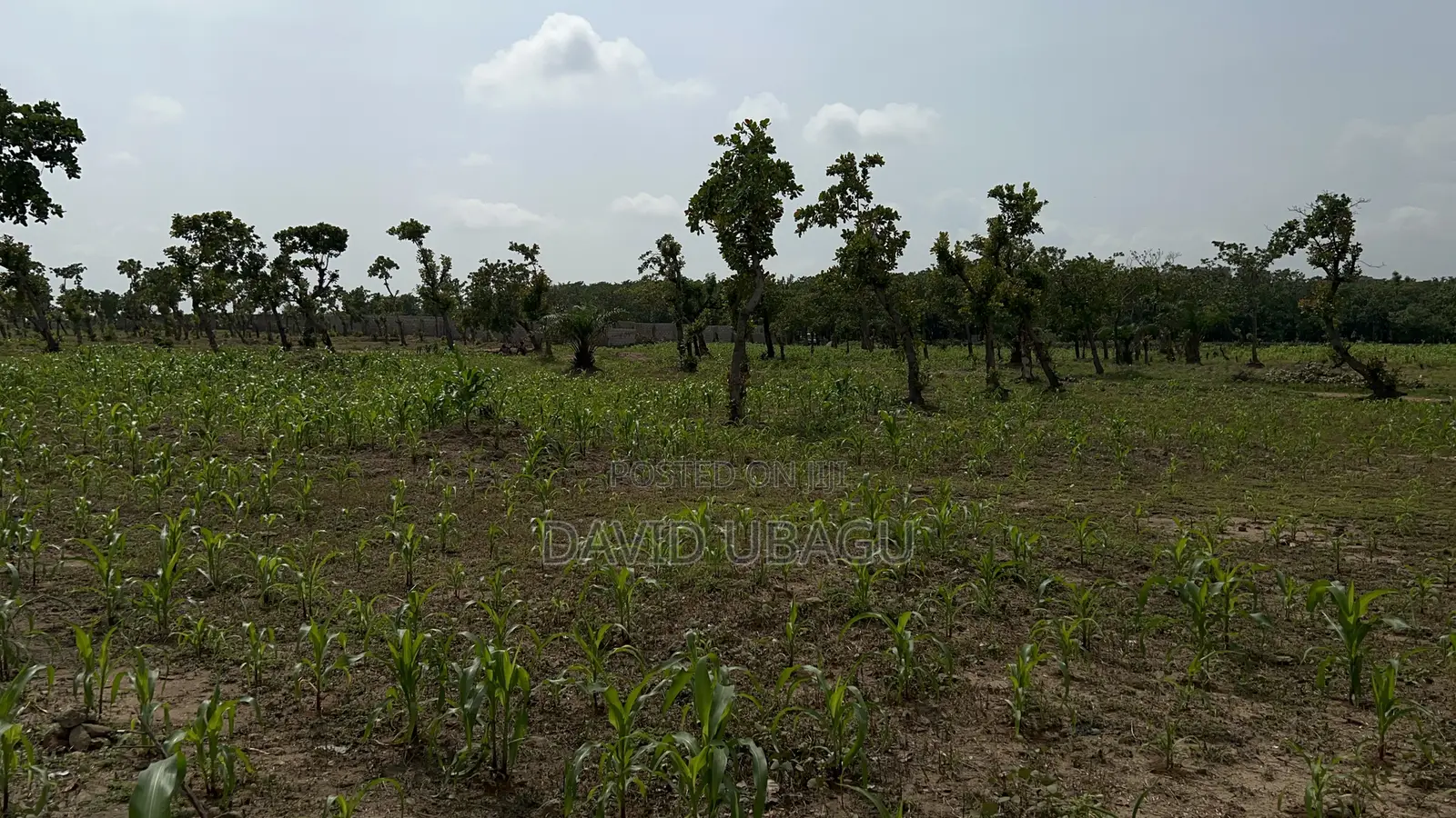  Residential Plot in Dape