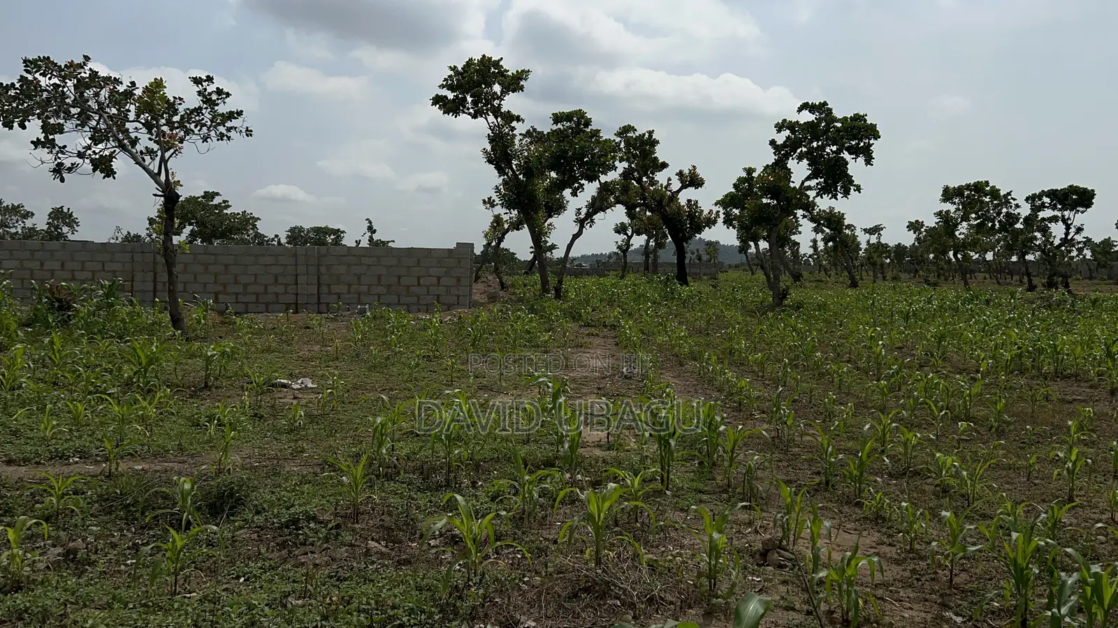  Residential Plot in Dape