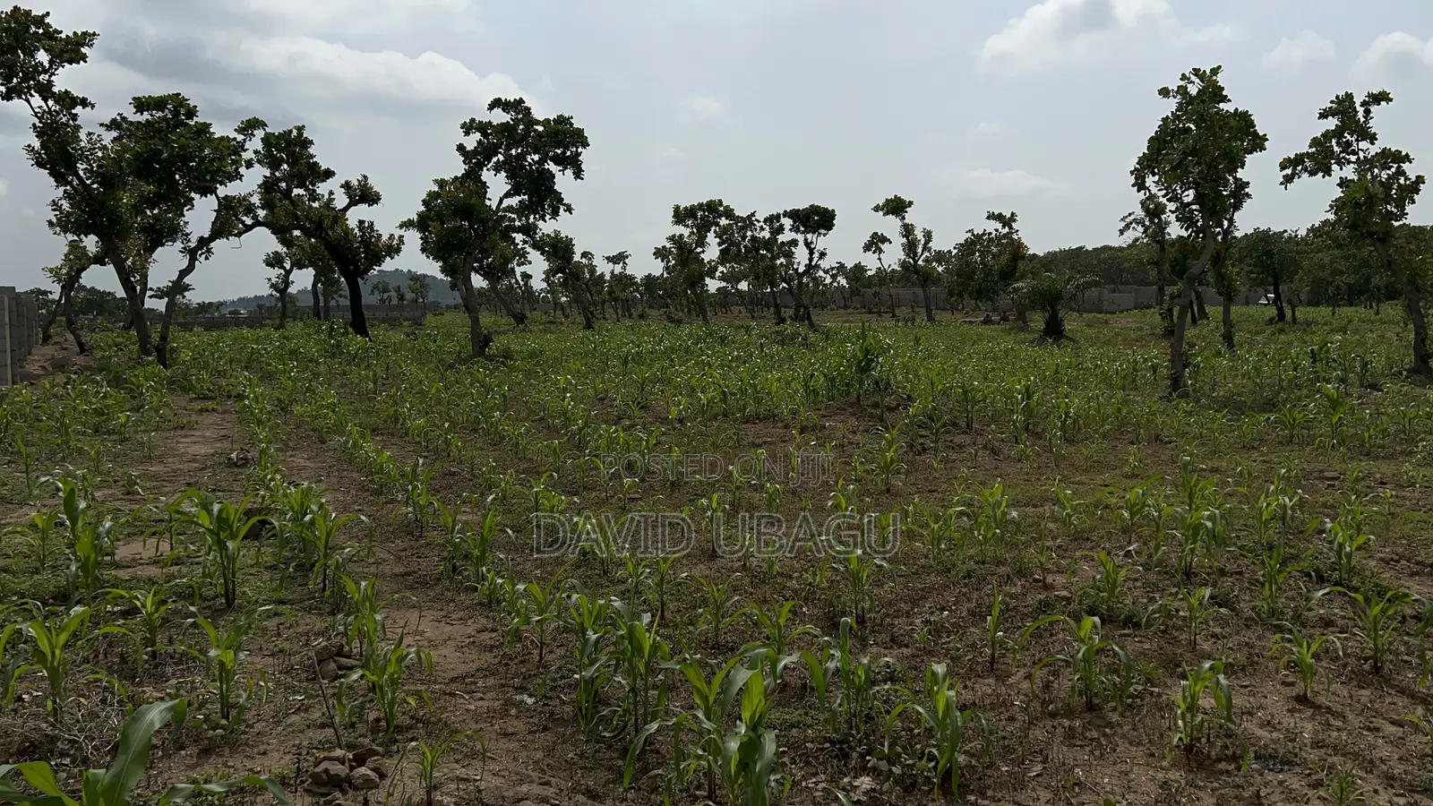  Residential Plot in Dape