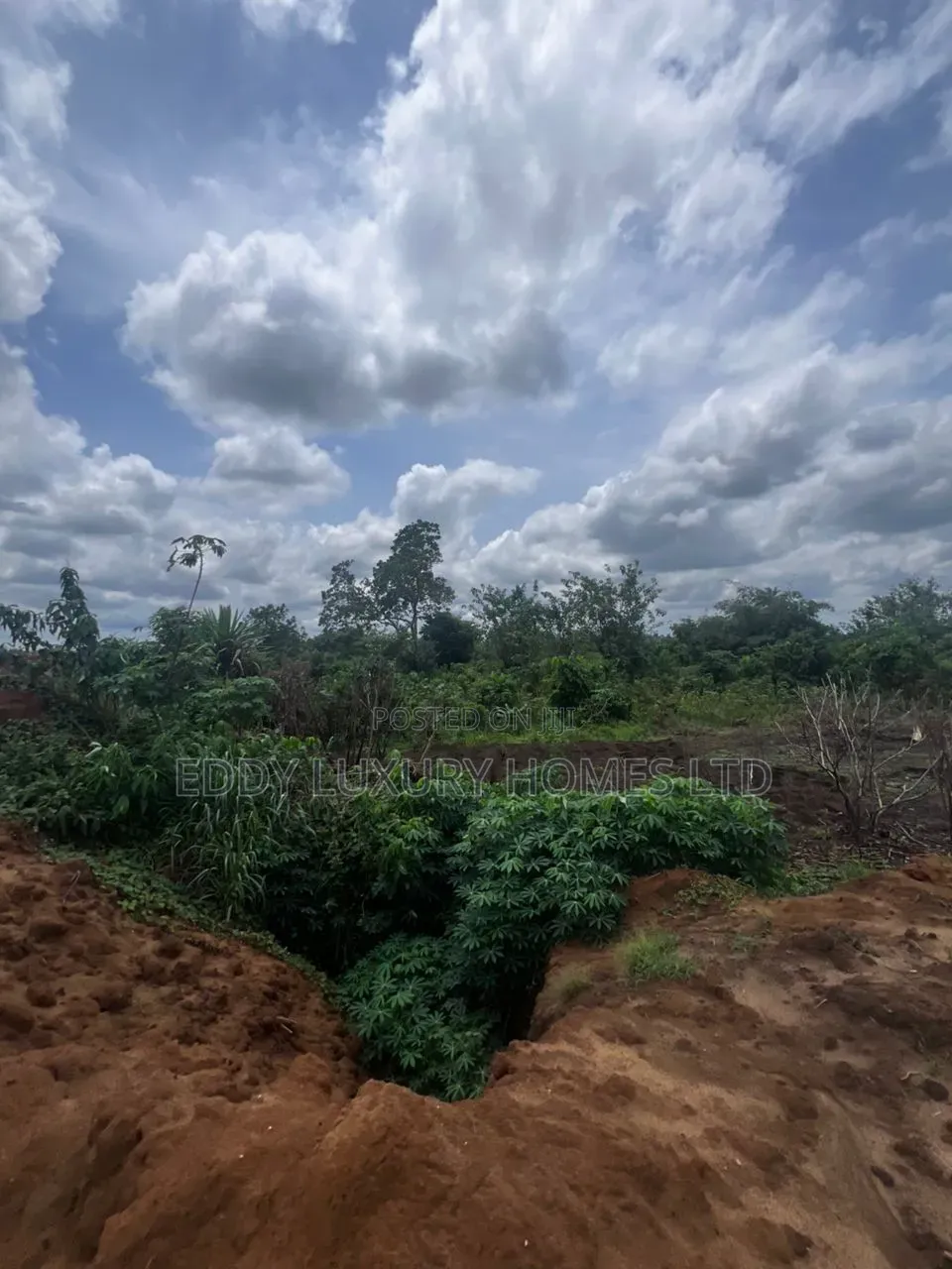 Commercial Hectares of Land for Sale in Uyo in Uyo