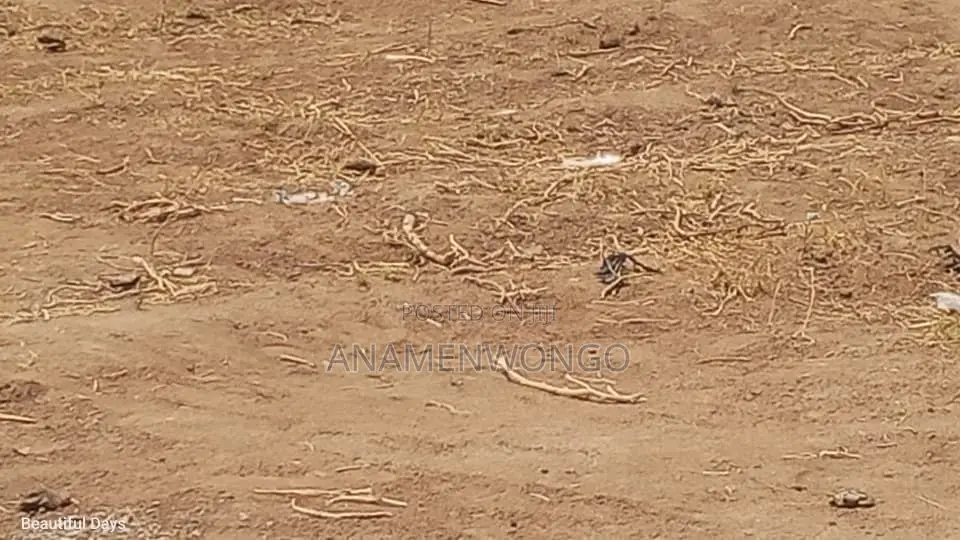 Kuje Premium Lands Luxury Homes | Fcda Approved in Kuje