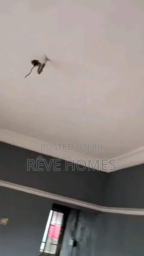 1bdrm Apartment in Ebute Metta for rent in Ebute Metta