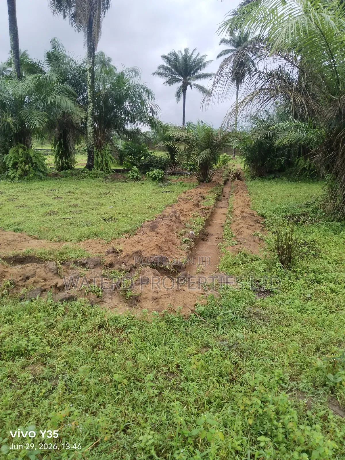 3 Plots of Land. Back of Indoroma in Eleme