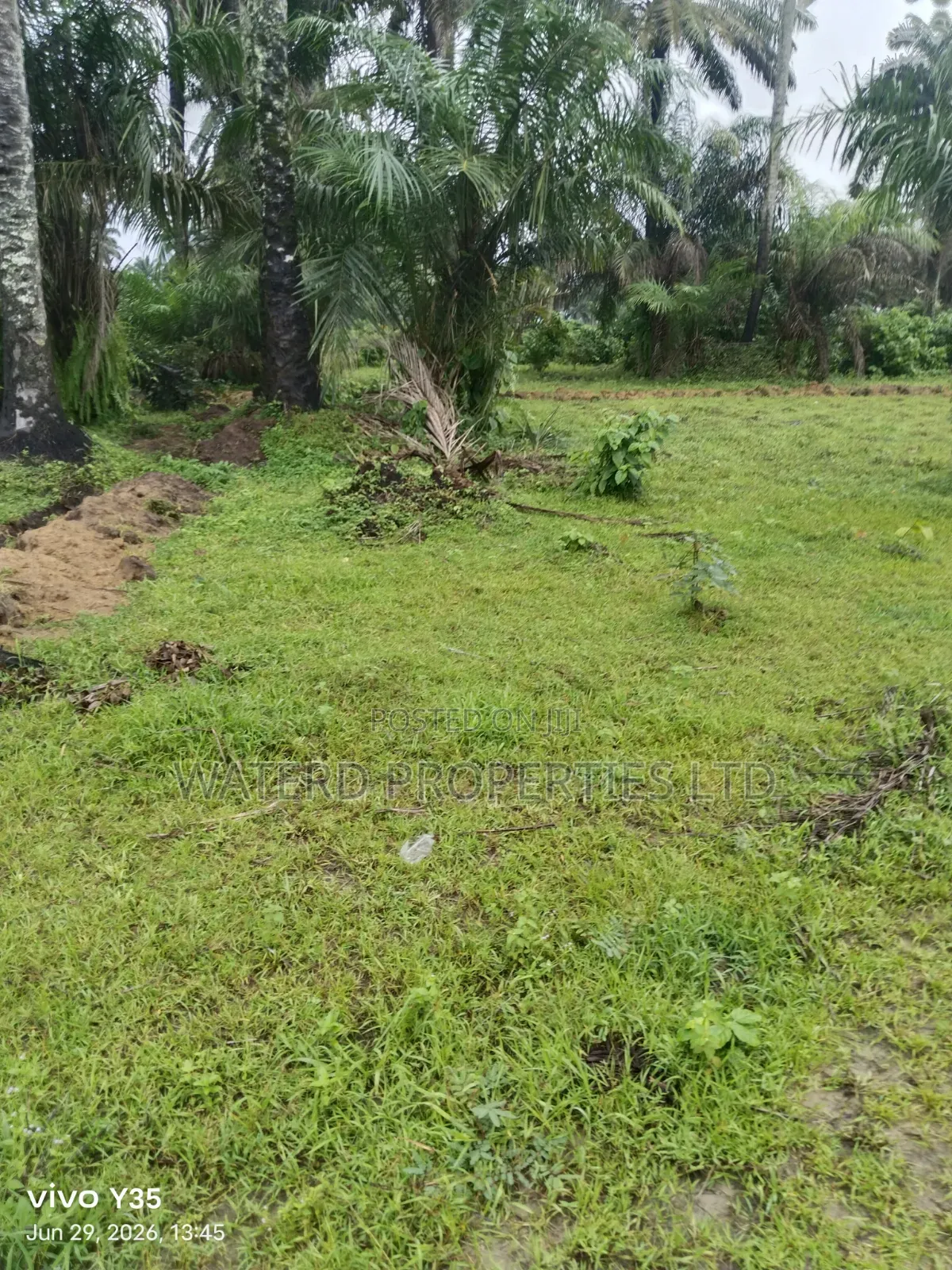 3 Plots of Land. Back of Indoroma in Eleme