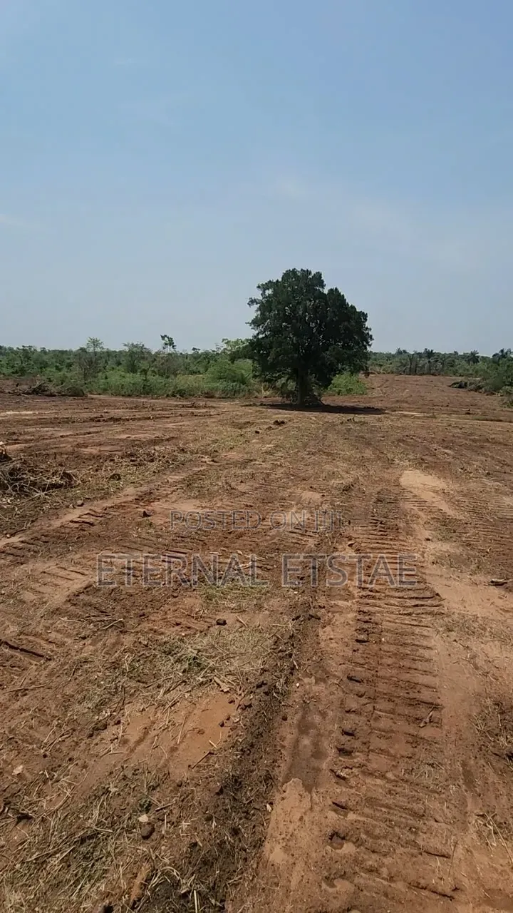 Fast Developing Affordable Estate in Enugu in Enugu