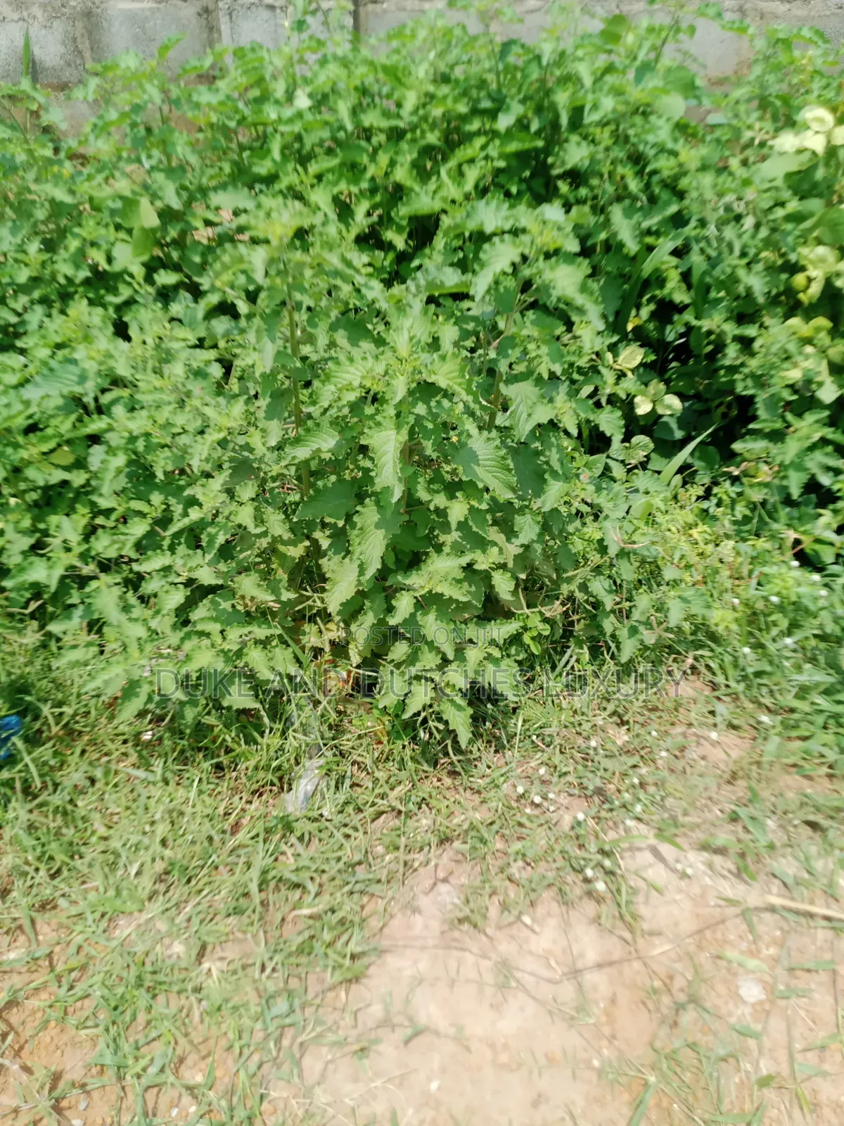 Land and Plots in Kuje