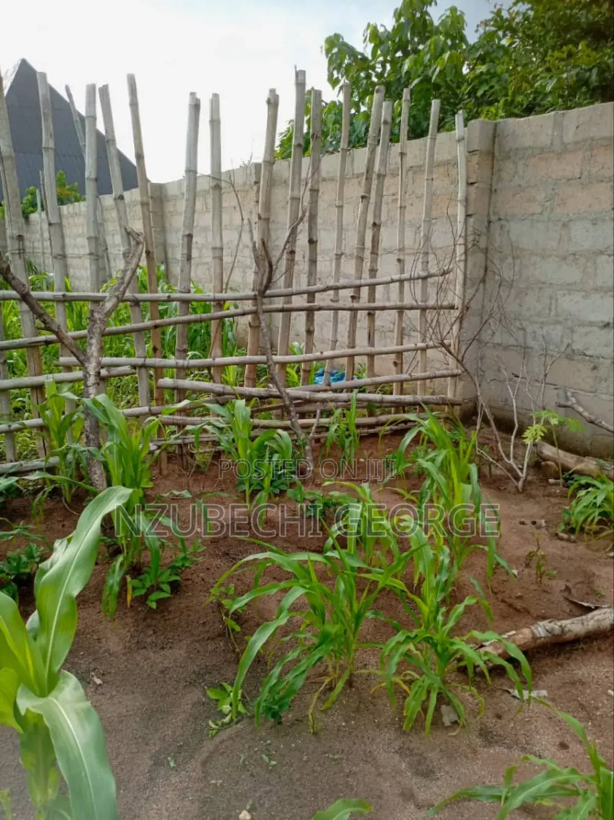 Fully Fenced Land for Sale in Umuguma, Owerri West in Owerri