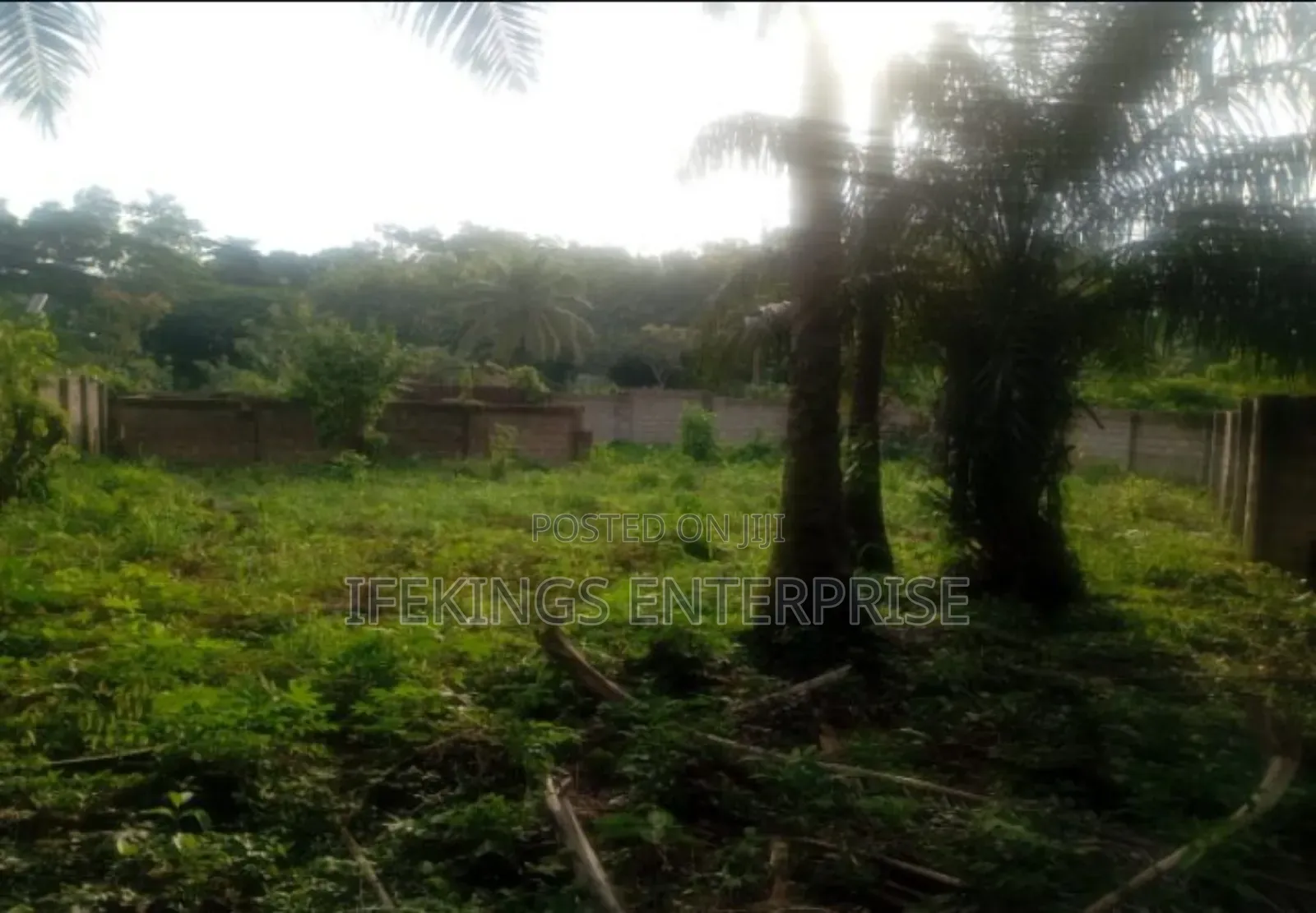 Ahiaeke Okwuta Road Land for Sale in Umuahia in Umuahia