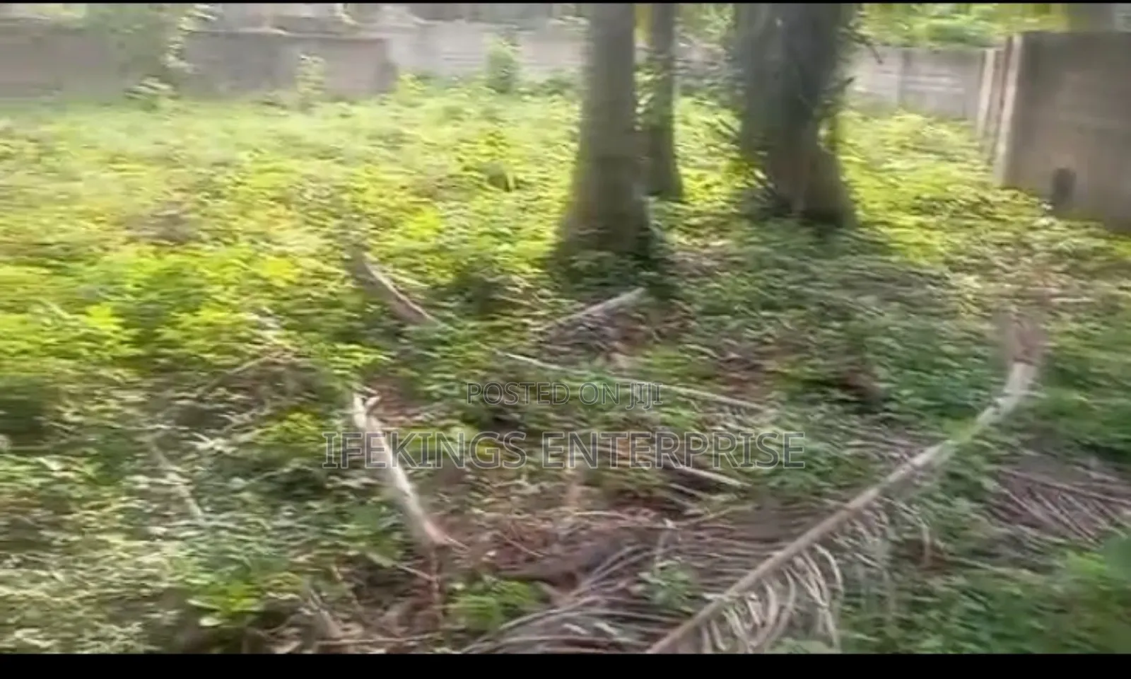 Ahiaeke Okwuta Road Land for Sale in Umuahia in Umuahia