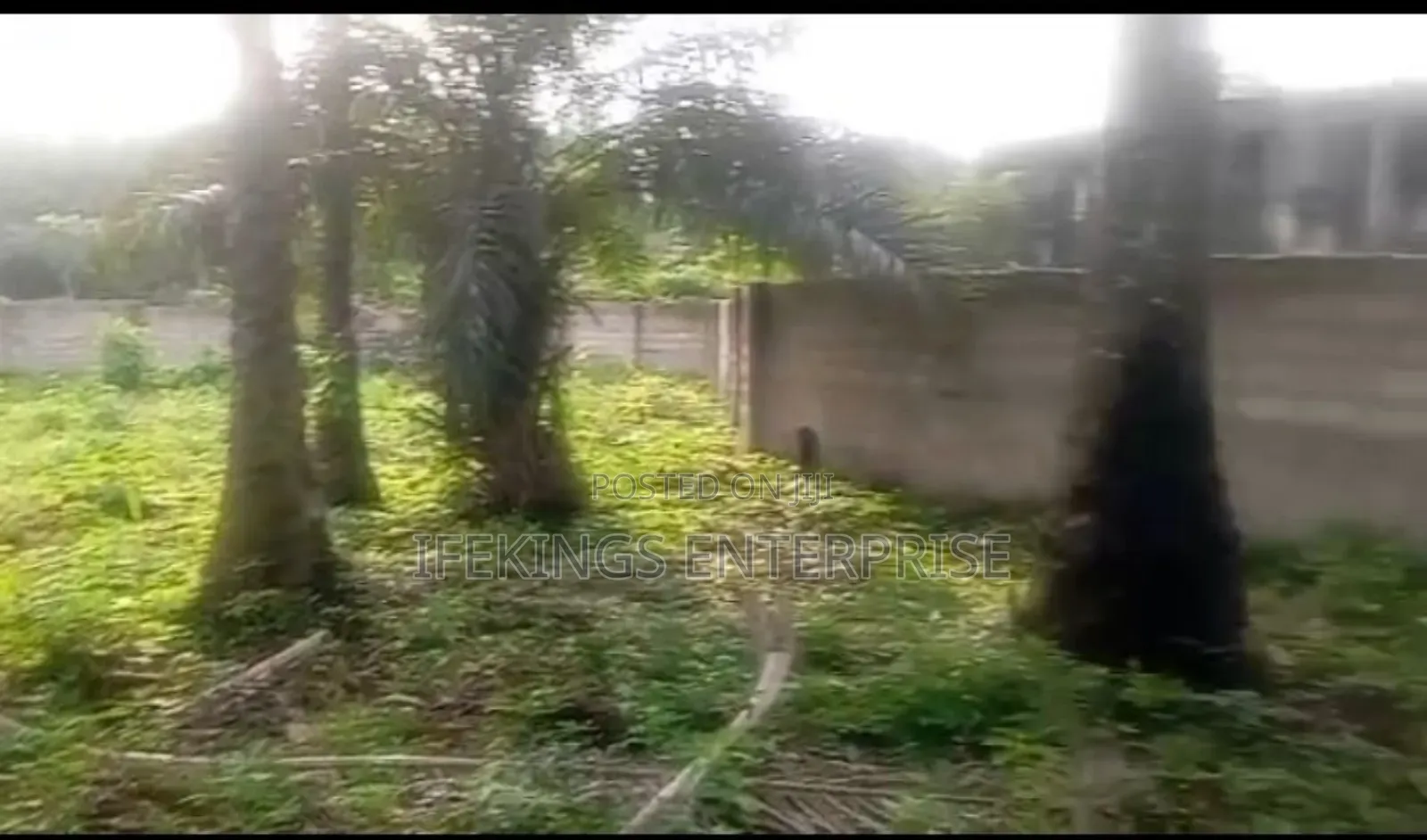 Ahiaeke Okwuta Road Land for Sale in Umuahia in Umuahia