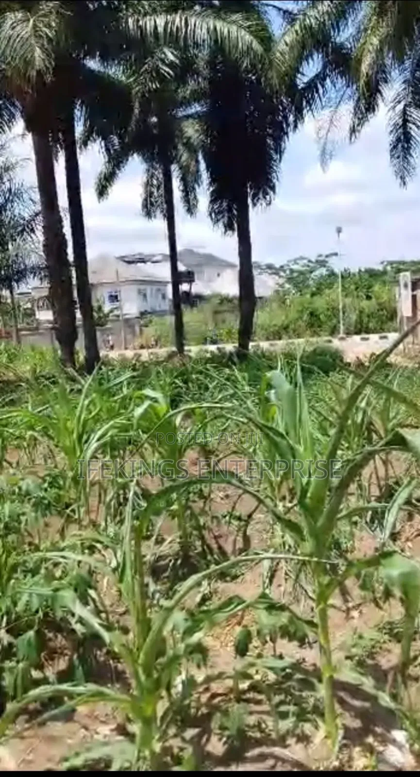 Dozie Way Land for Sale in Umuahia in Umuahia