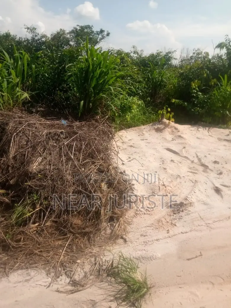 Prime Plot of Land for Sale – Umuijem, Avu–Obinze Old Road, Owerri Imo in Owerri