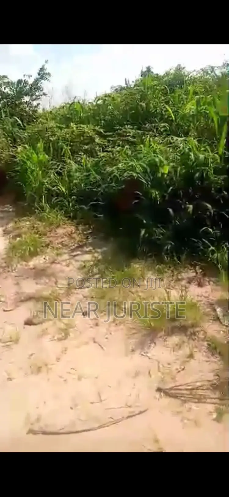 Prime Plot of Land for Sale – Umuijem, Avu–Obinze Old Road, Owerri Imo in Owerri