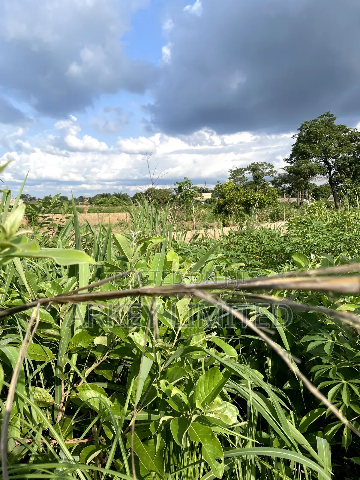 Land for Sale at Ugwumo Enugu State in Enugu