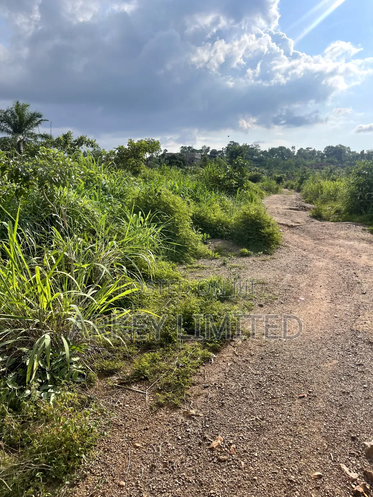 Land for Sale at Ugwumo Enugu State in Enugu
