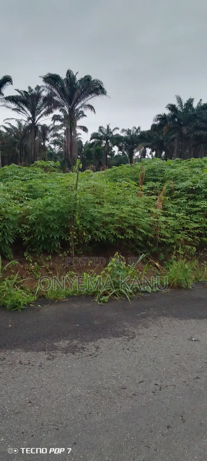 100 Plots Near Express for a Ready Buyer. in Ukwa