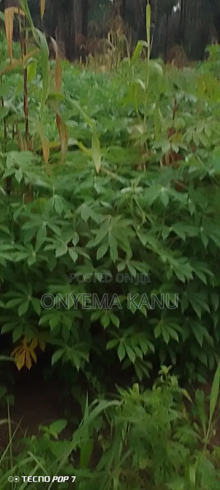 100 Plots Near Express for a Ready Buyer. in Ukwa