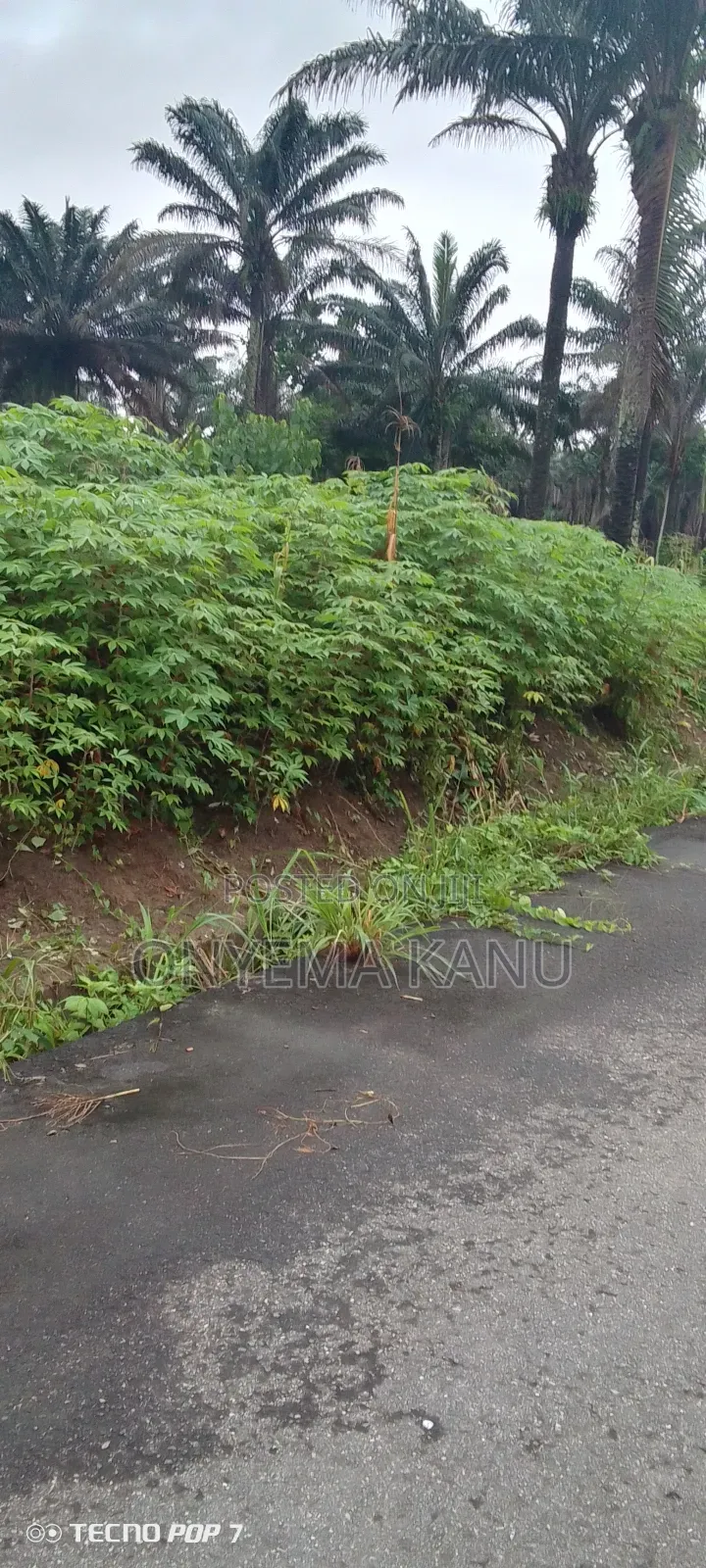 100 Plots Near Express for a Ready Buyer. in Ukwa