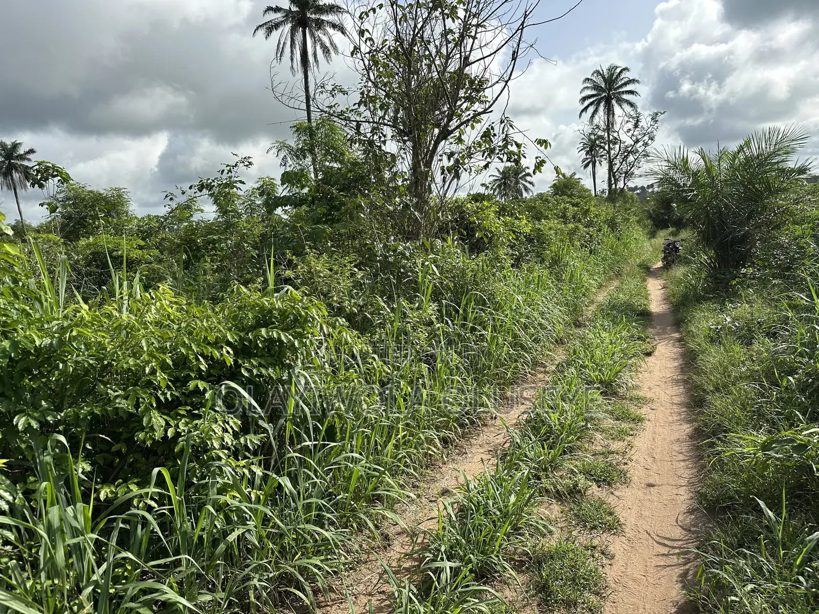 Land Good for Different Varieties of Crop and Animal Farmimg in Obafemi-Owode