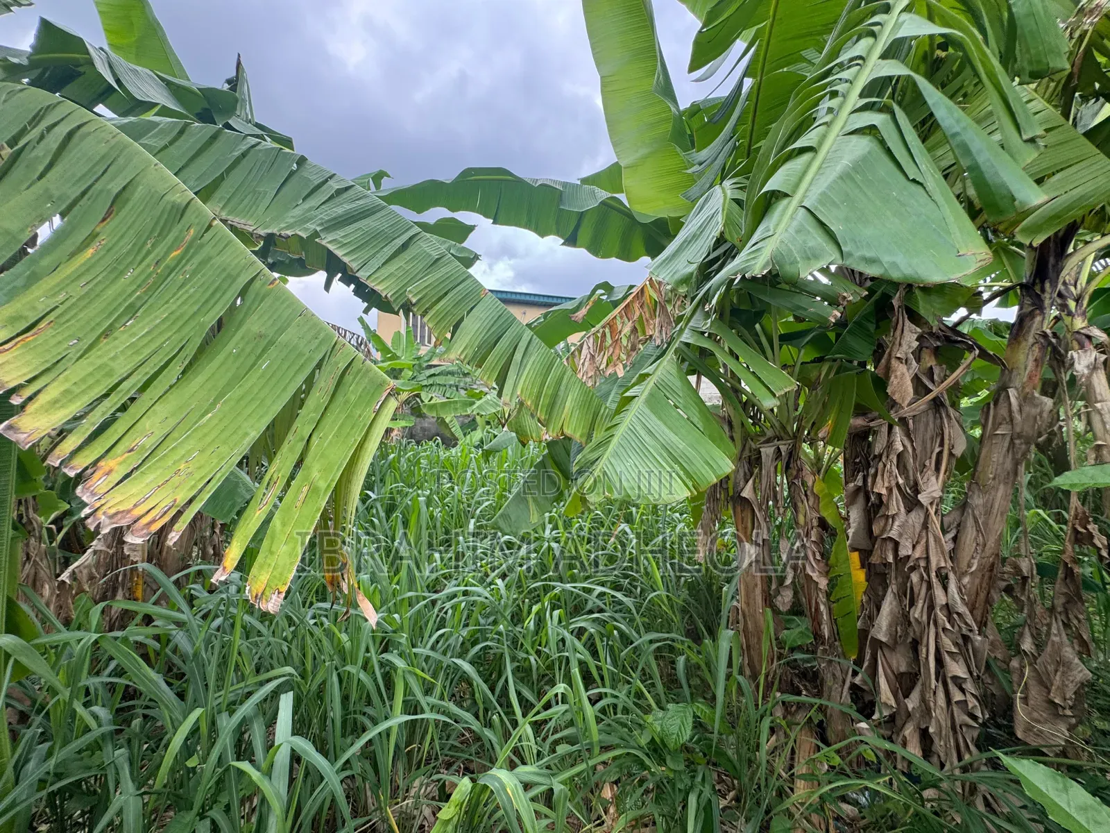 A Perfect Empty Dry Land Measuring 685sqm Fenced and Gated, In in Isheri North