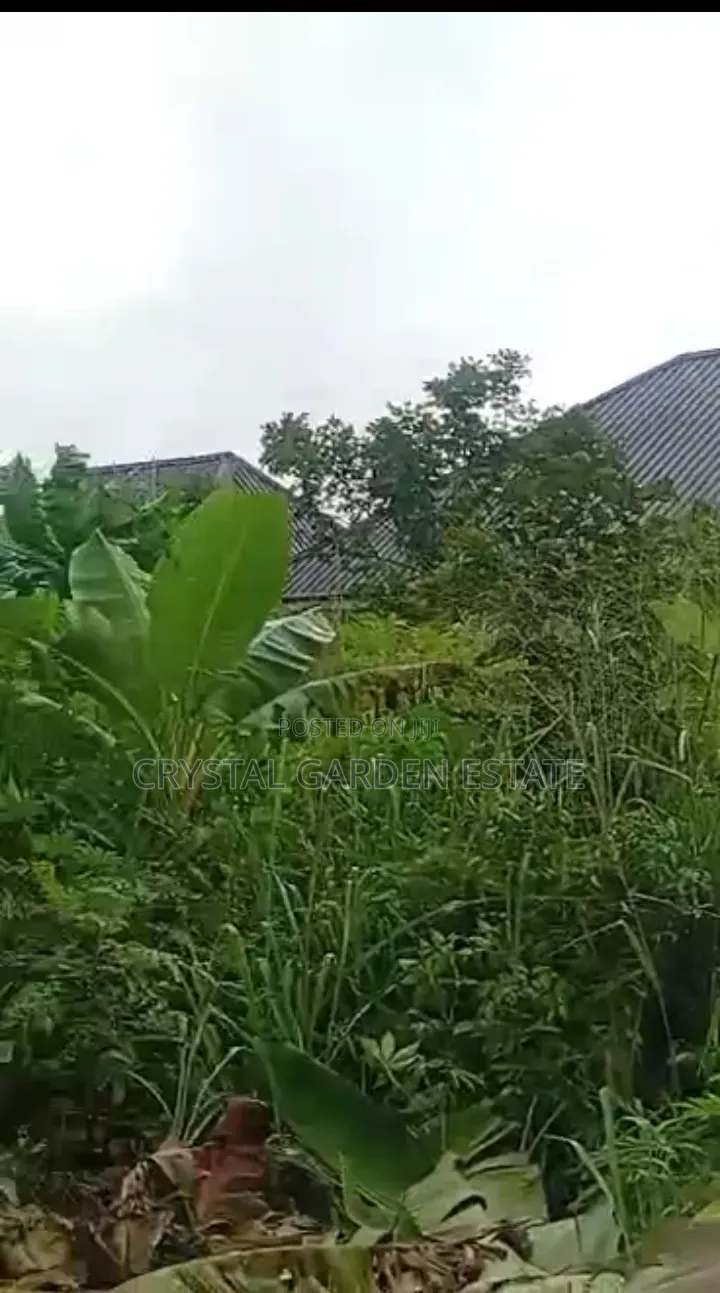 50x100sqm:Land for Sale at Atali New Layout Port Harcourt. in Diobu Mile 3