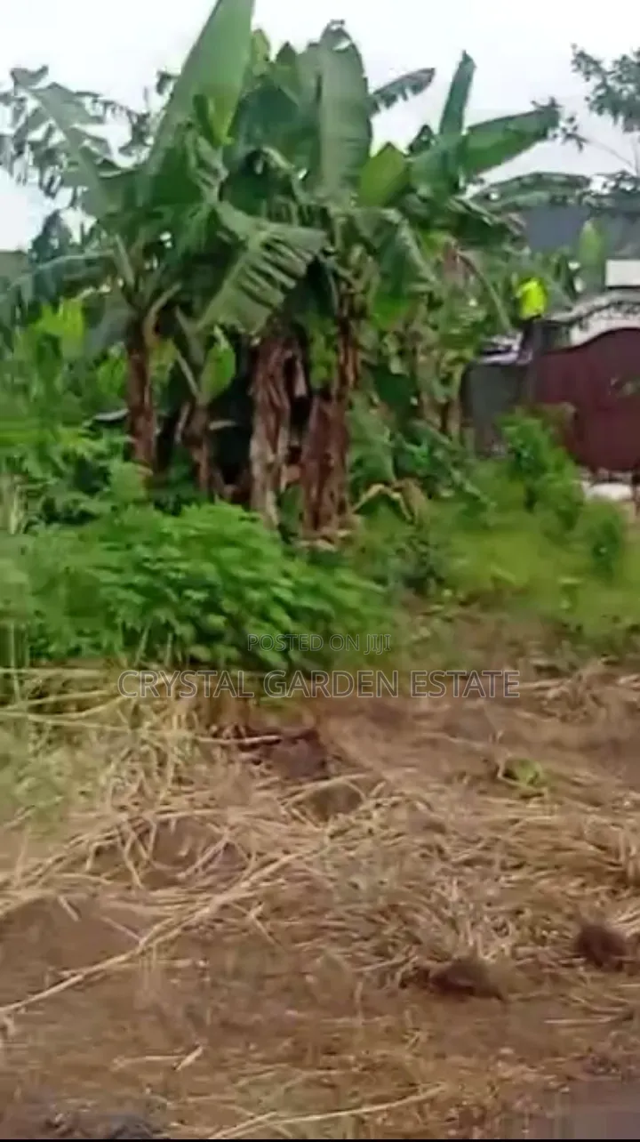 50x100sqm:Land for Sale at Atali New Layout Port Harcourt. in Diobu Mile 3