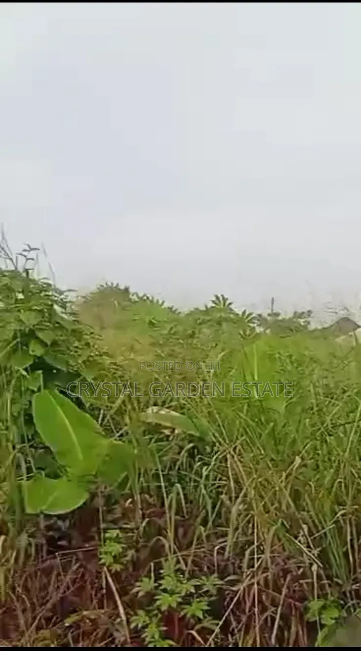 50x100sqm: Land for Sale at Nneyi Umueri. in Anambra East