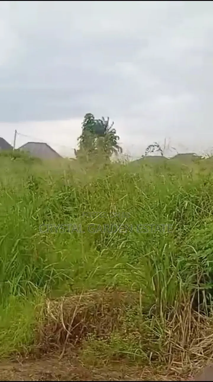 50x100sqm: Land for Sale at Nneyi Umueri. in Anambra East