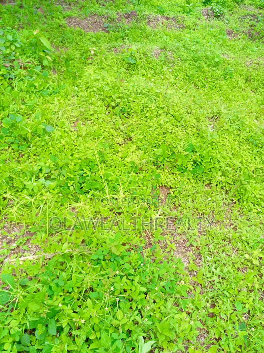 632sqm Residential Land at Carlton Gate Estate in Akobo