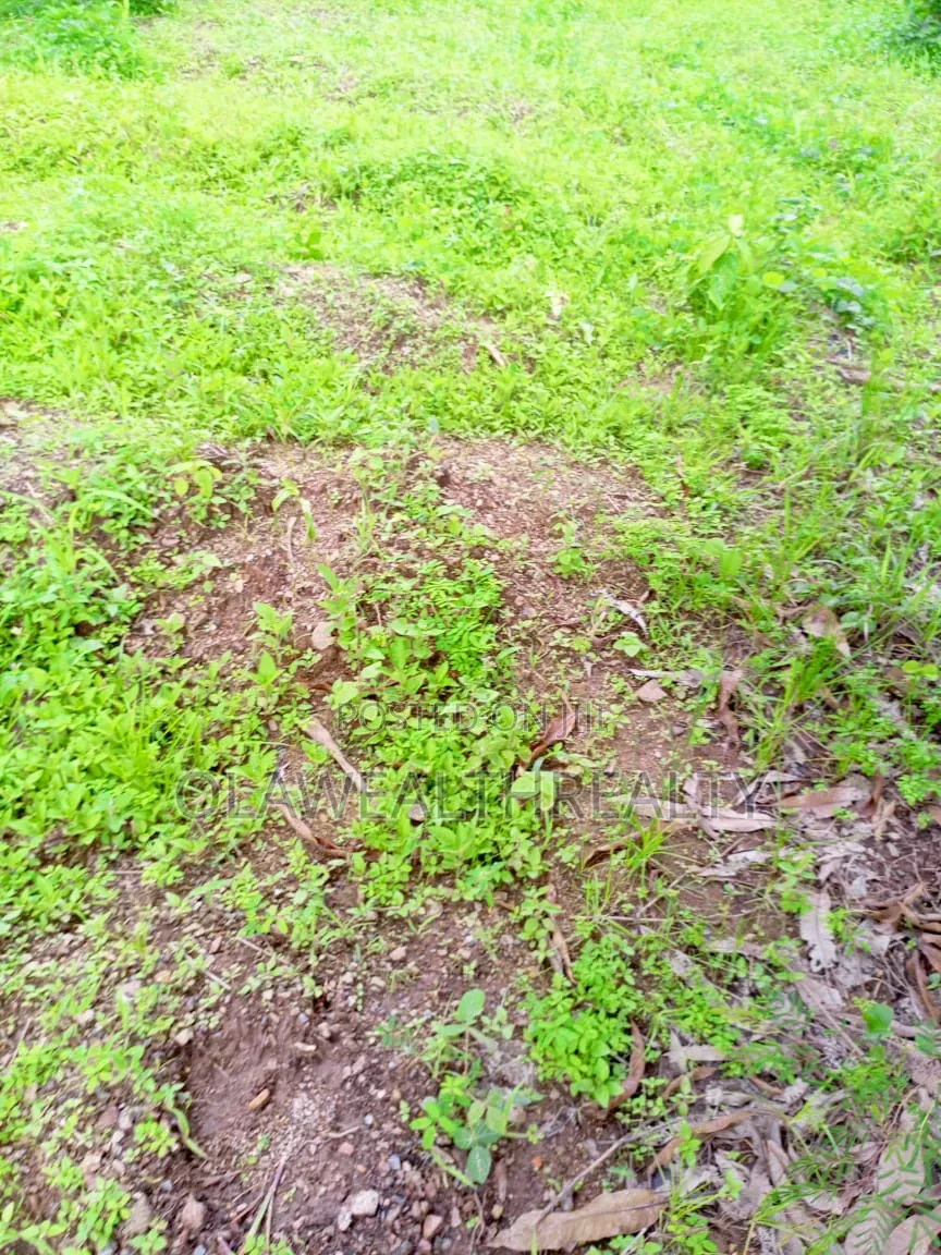 1,200sqm Residential Land at Kolapo Ishola Gra Phase 1 in Akobo