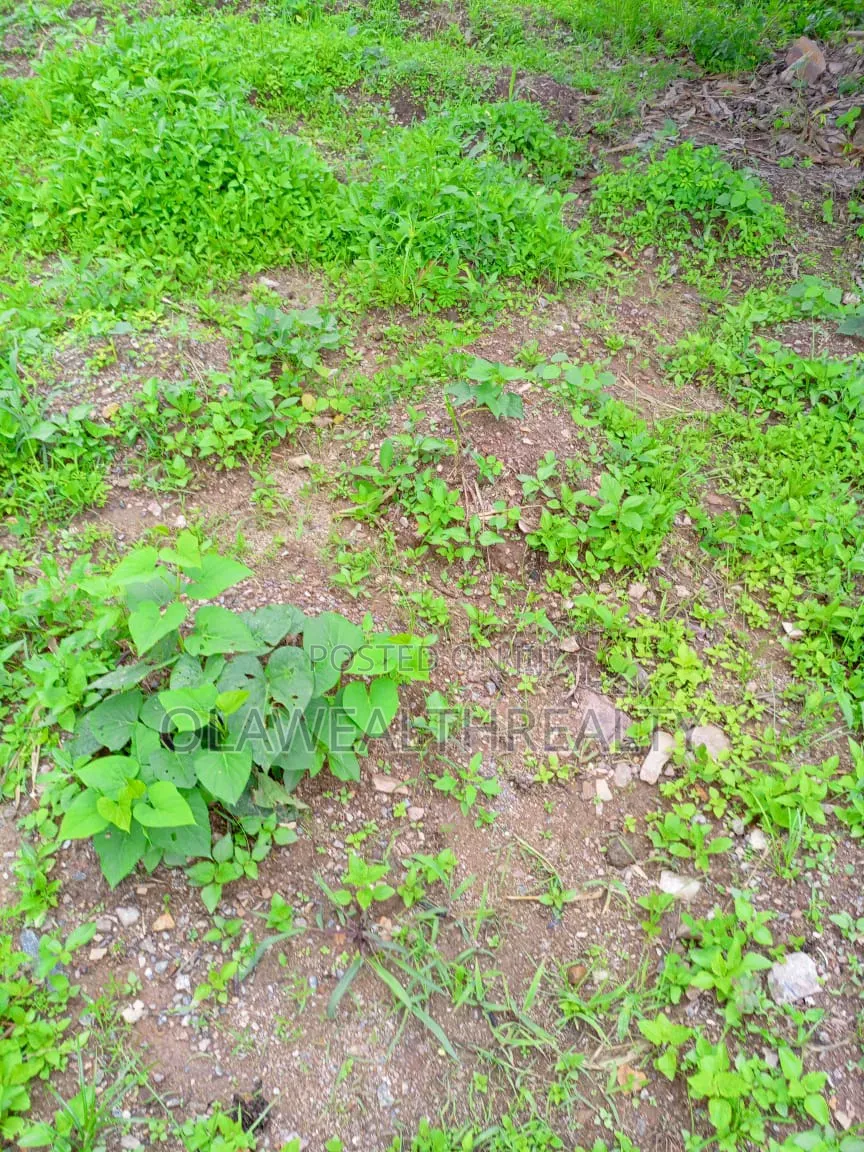 1,200sqm Residential Land at Kolapo Ishola Gra Phase 1 in Akobo