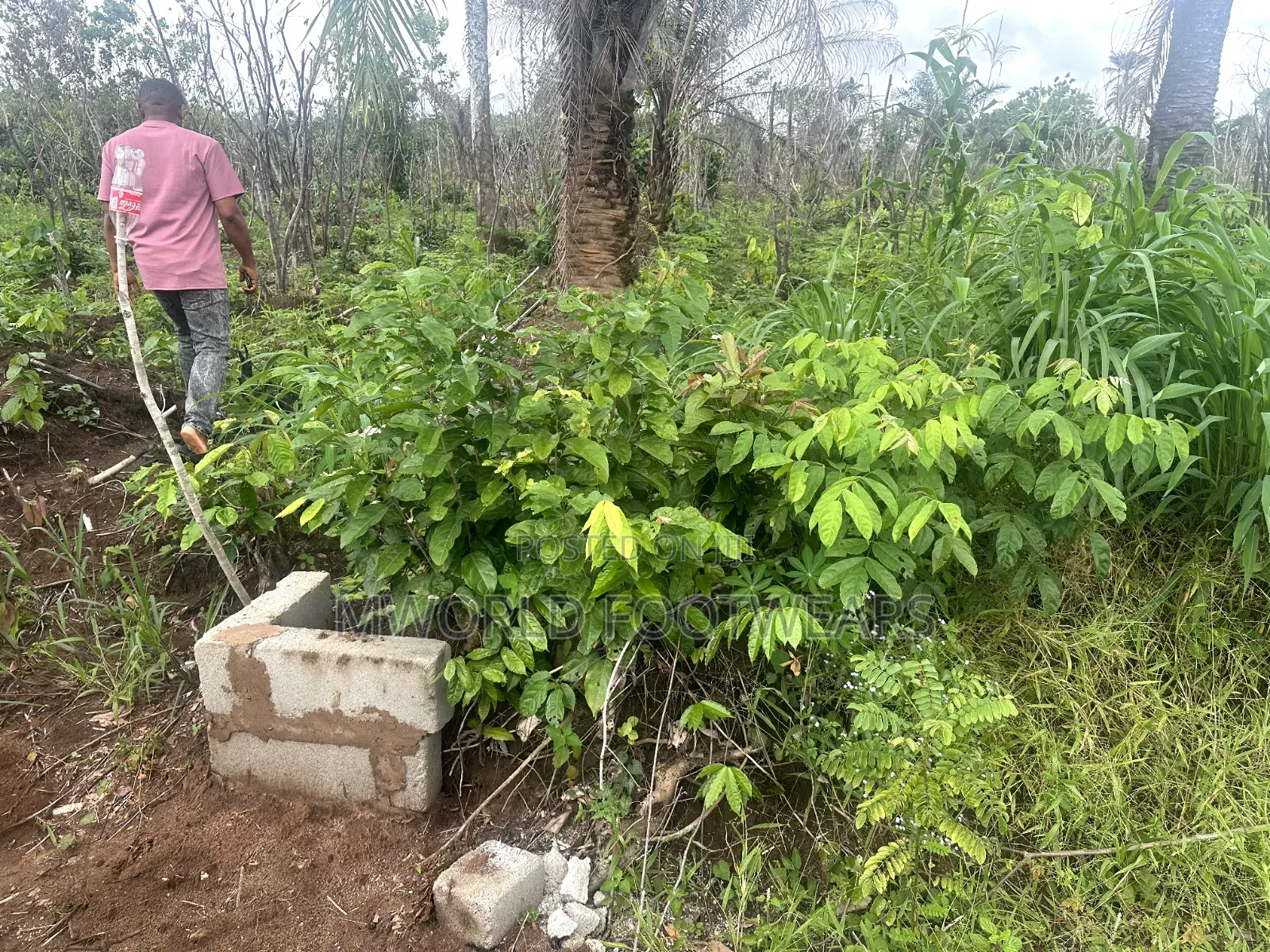 Plots of Land for Sale in Owerri