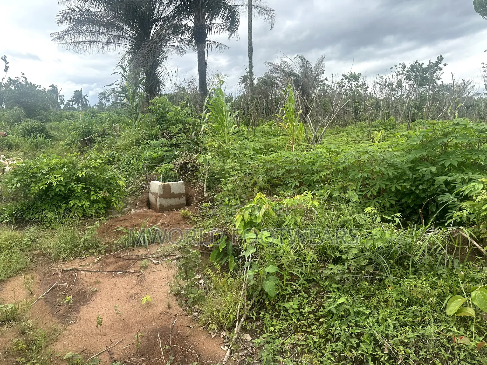 Plots of Land for Sale in Owerri