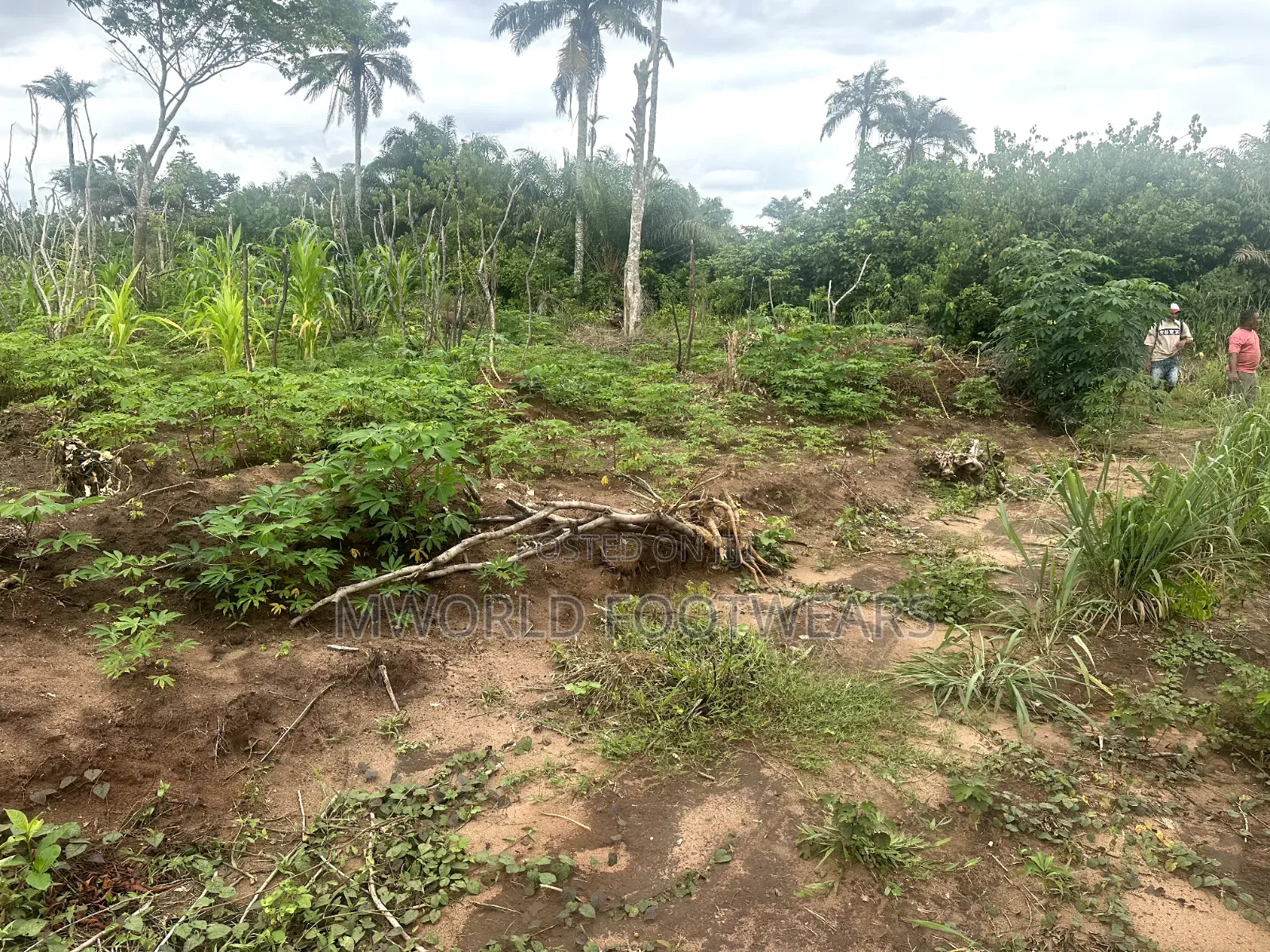 Plots of Land for Sale in Owerri