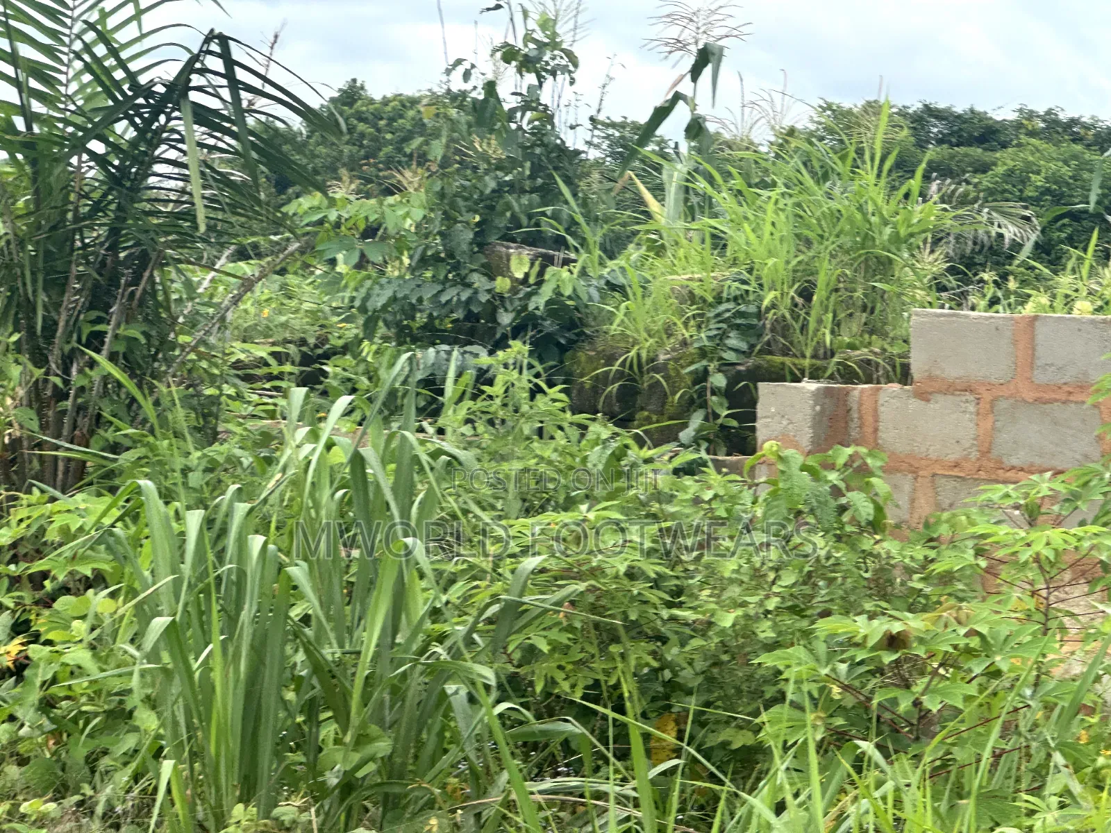 Plots of Land for Sale in Owerri