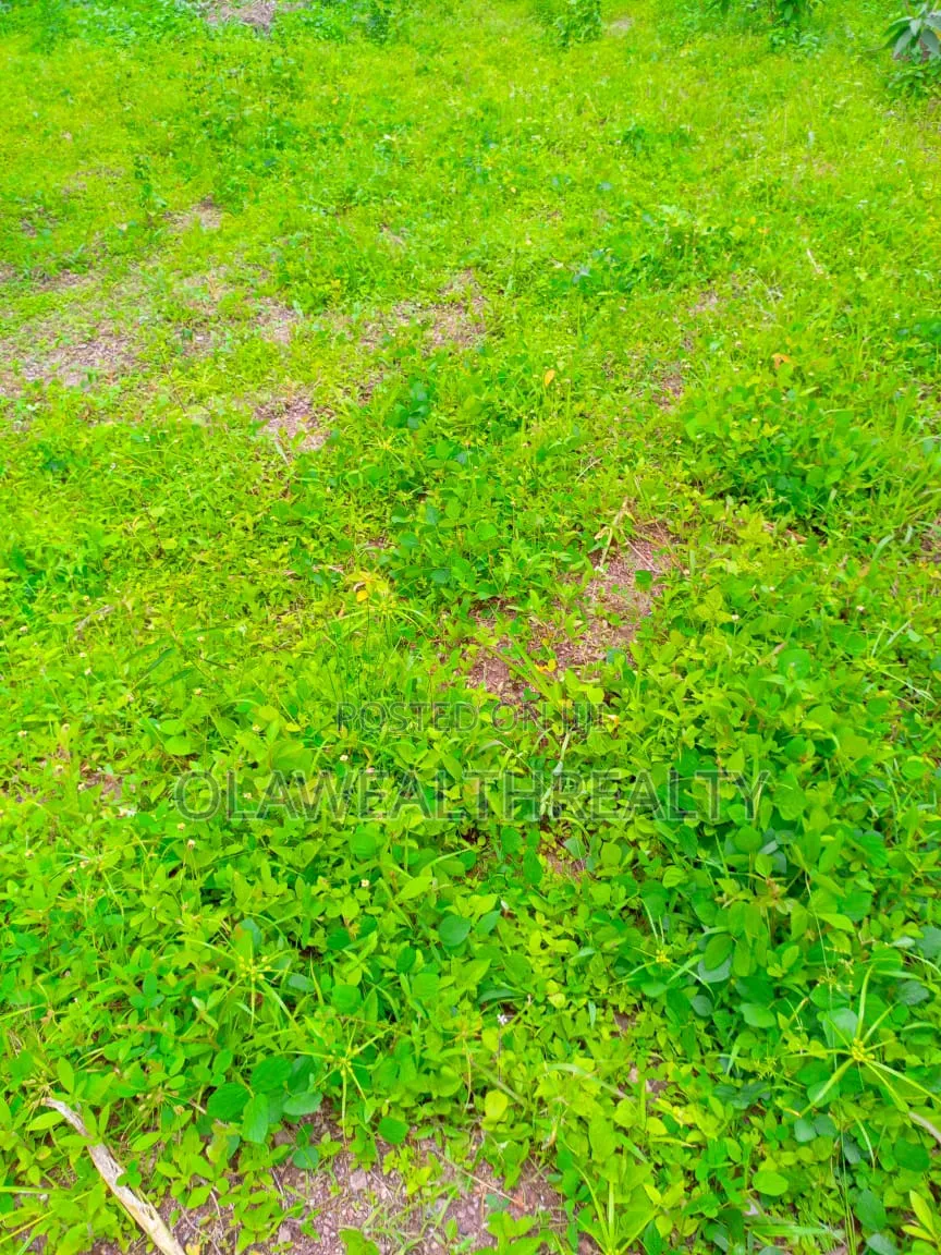 831sqm Residential Land at Iyaganku in Iyanganku