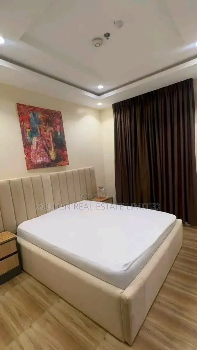 Furnished 3bdrm Duplex in Asokoro for rent in Asokoro
