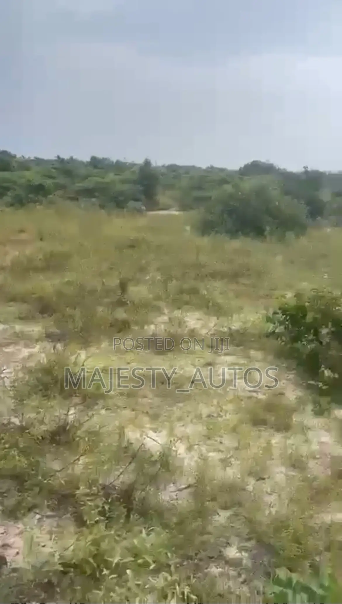 Title C of O in Ibeju