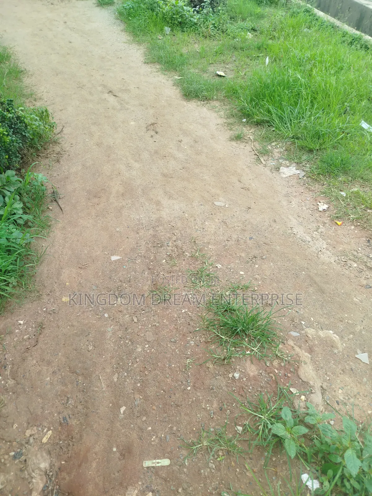 3,617 SQM Land Yaba, Lagos Federal C of O
#2.2bl. Net in Alagomeji