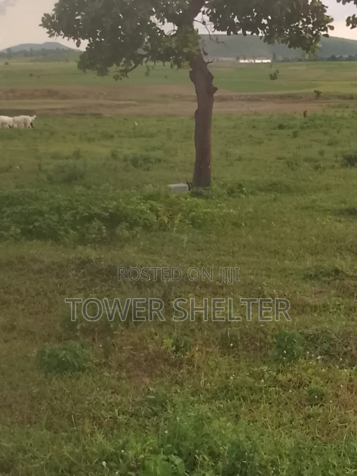Estate Plot for Sale in Kuje