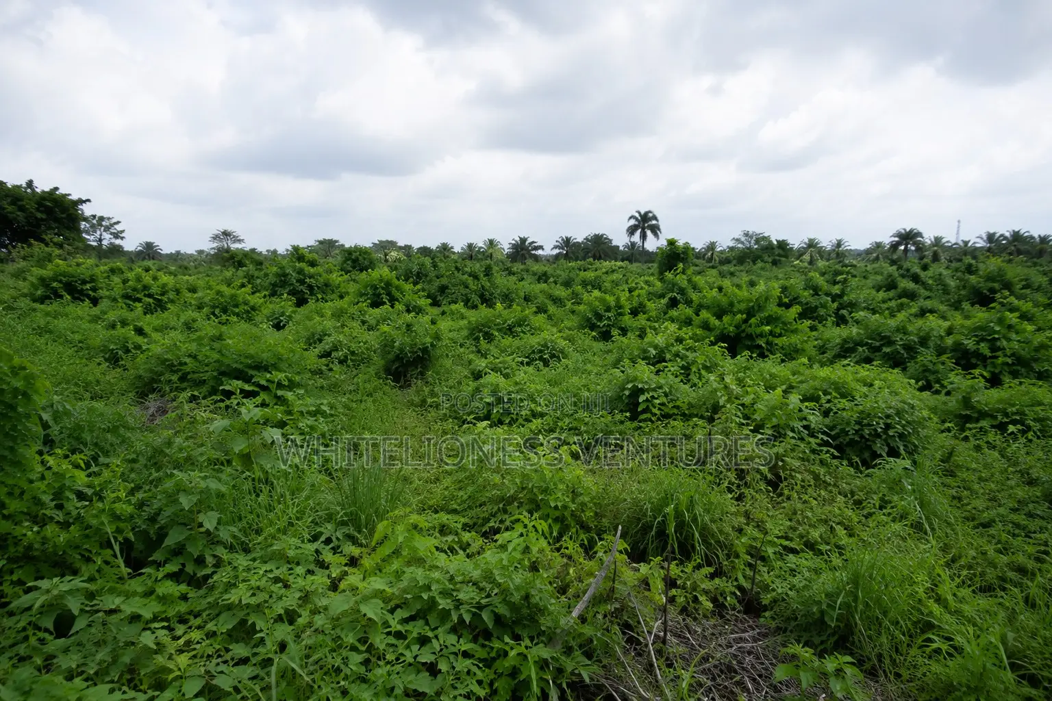 Land for Sale in Owerri Imo State in Owerri