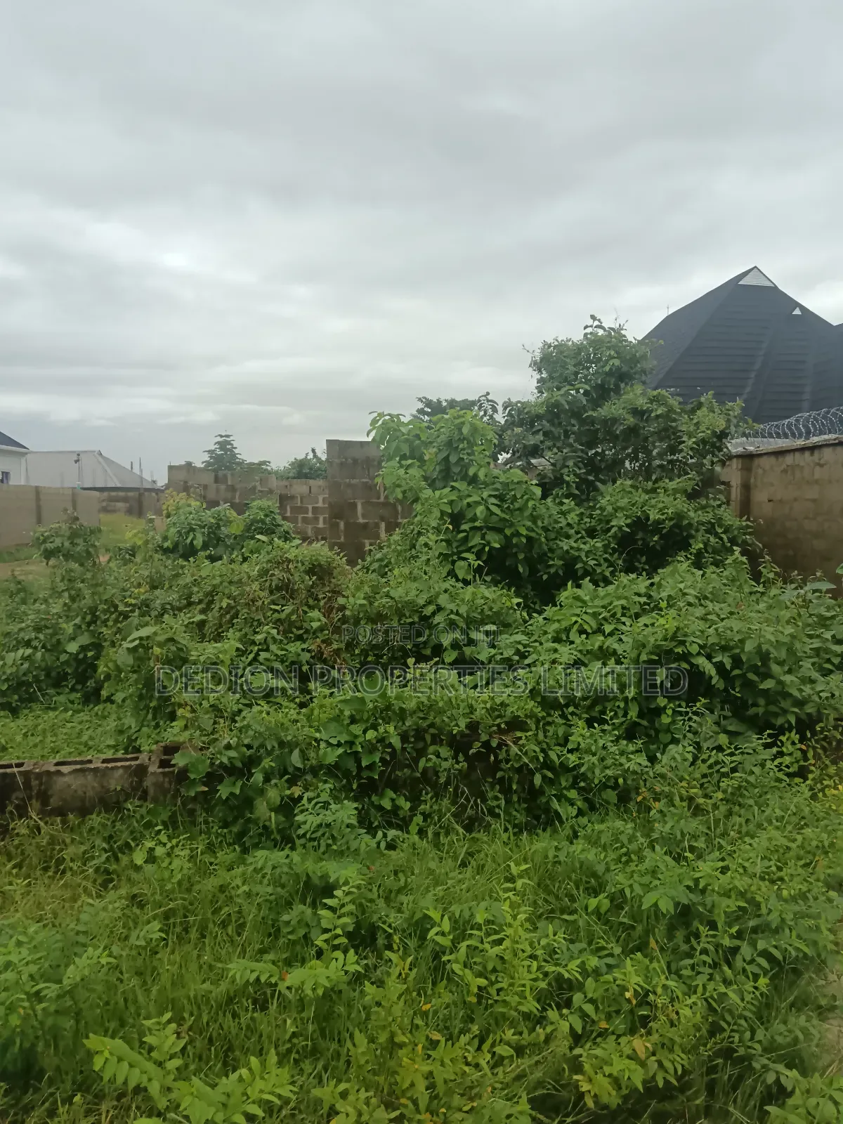 Iraye Epe Land With Freehold and Registered Survey in Epe