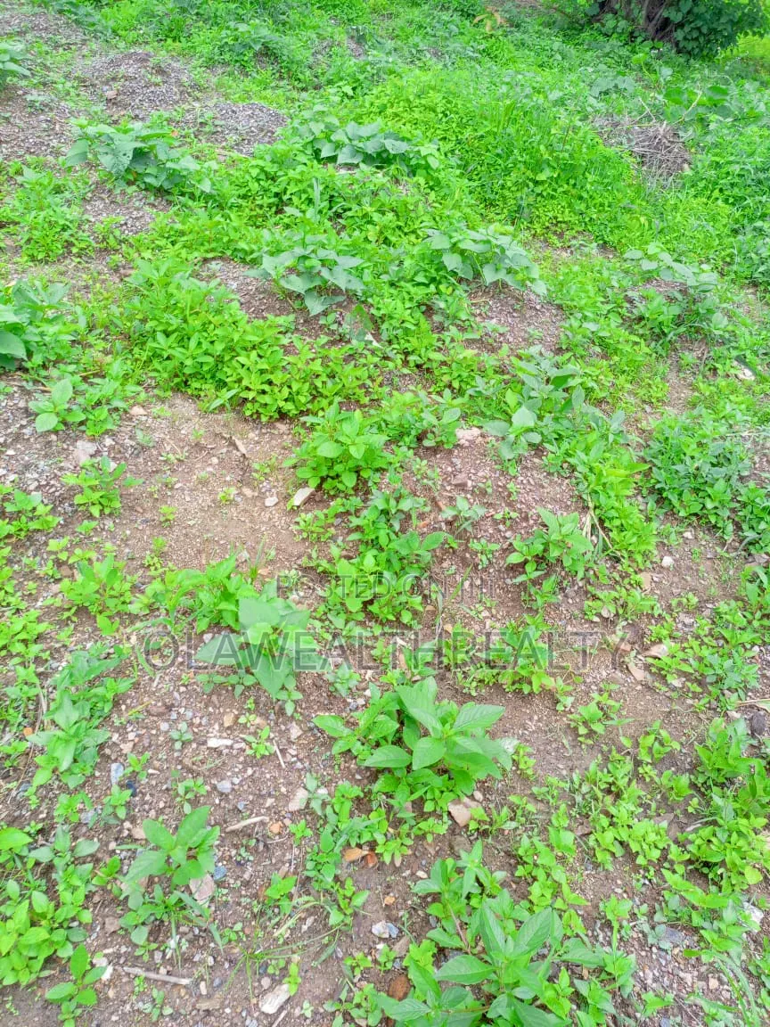 1,300sqm Residential Land at Maitama in Maitama