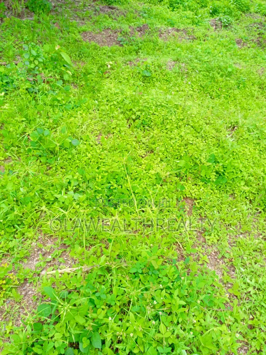 1,300sqm Residential Land at Maitama in Maitama