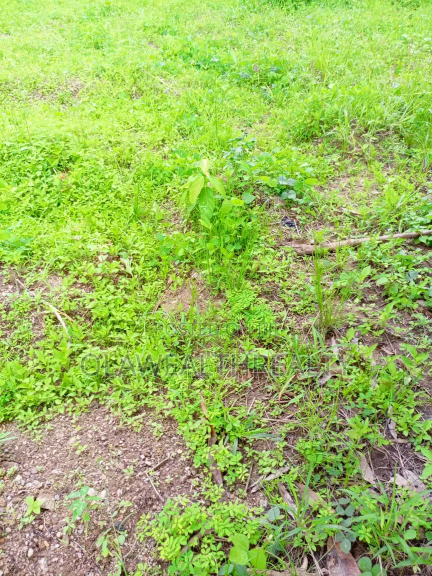 1,813sqm Residential Land at Maitama Main in Maitama