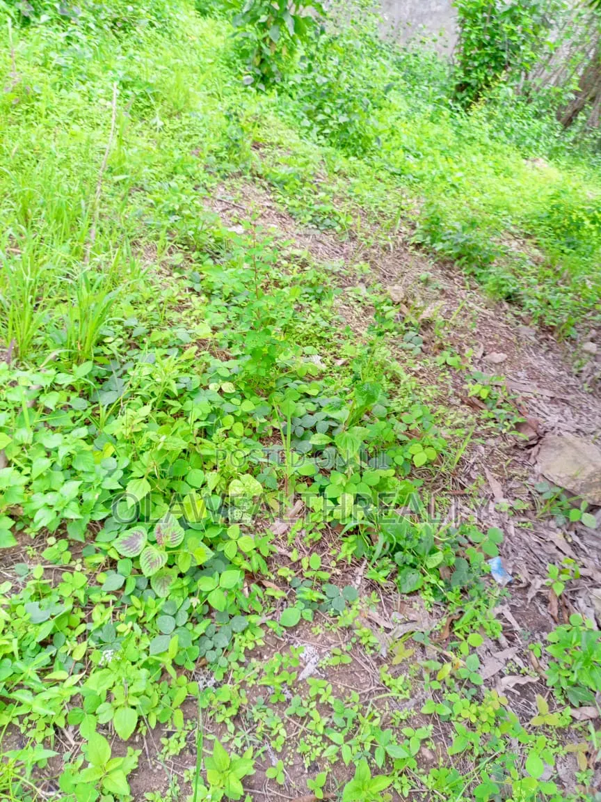 1,813sqm Residential Land at Maitama Main in Maitama