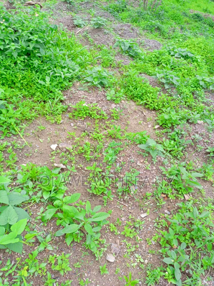 501sqm Residential Plot at Ajah in Ogombo