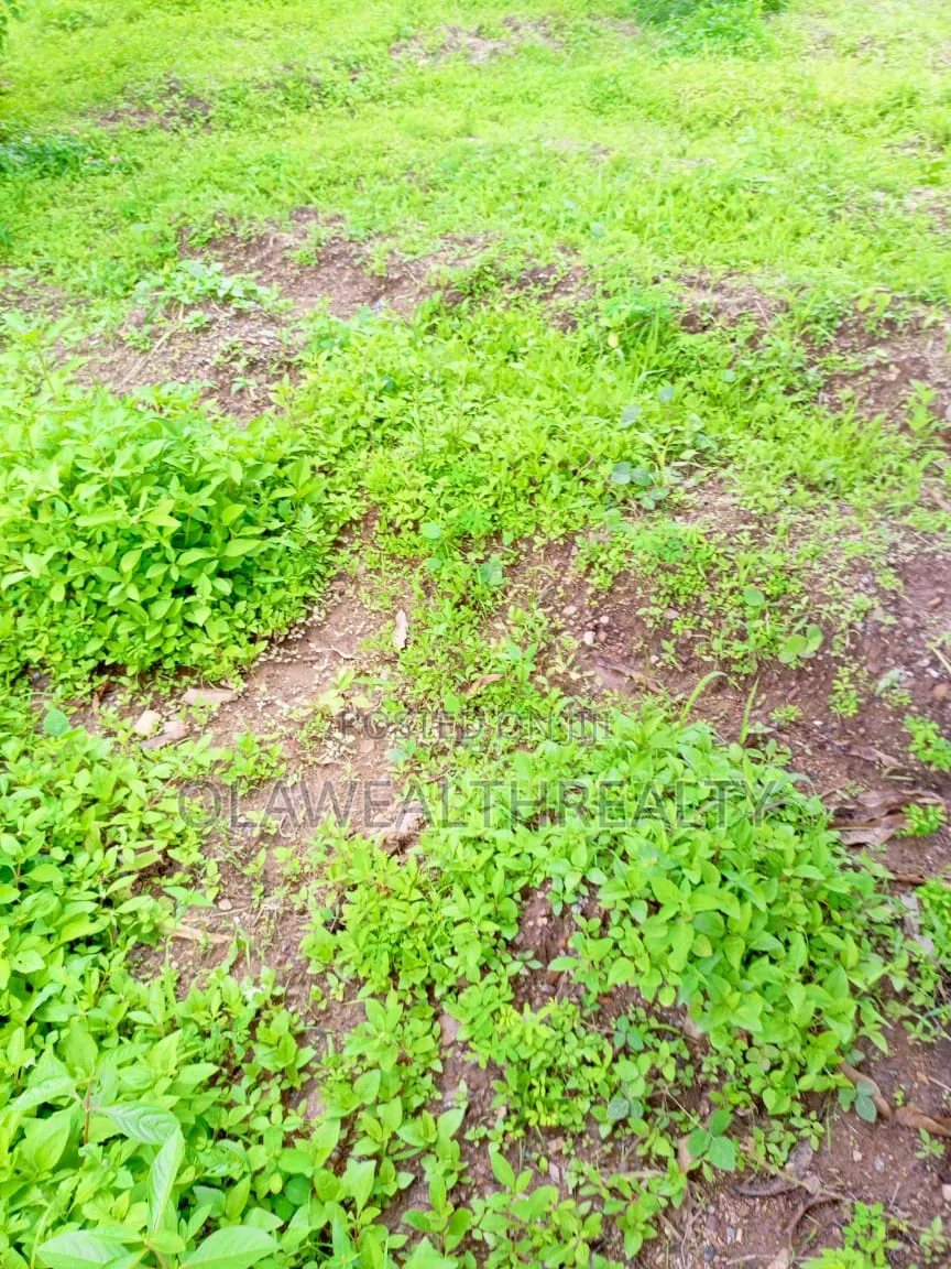 501sqm Residential Plot at Ajah in Ogombo